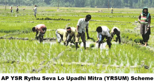 YSR Rythu Seva Lo Upadhi Mitra Scheme 2023